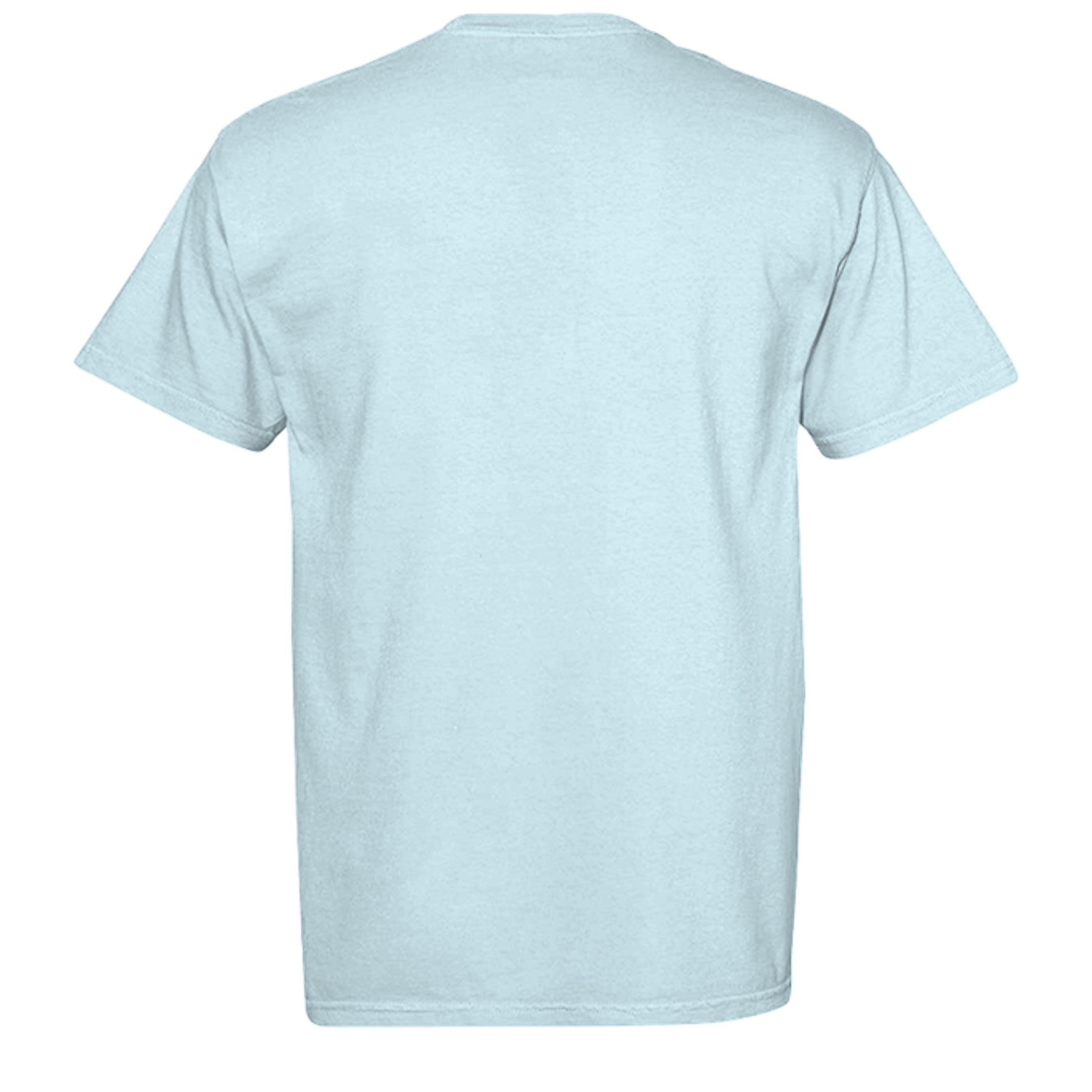 CHAMBRAY - C1717 - BACK